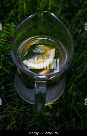 Unschärfe-Nahaufnahme in Scheiben schneiden Zitrone und Minzblätter in Glaskanne mit natürlichem grünen Hintergrund Limonade. Krug mit einem kühlen Sommercocktail oder Punsch im Freien Stockfoto