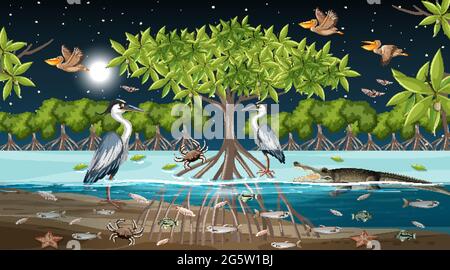Mangrovenwald Landschaft Szene in der Nacht mit vielen verschiedenen Tieren Illustration Stock Vektor