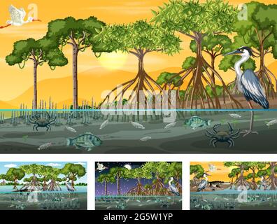 Verschiedene Mangrovenwaldlandschaftsszenen mit verschiedenen Tieren Illustration Stock Vektor