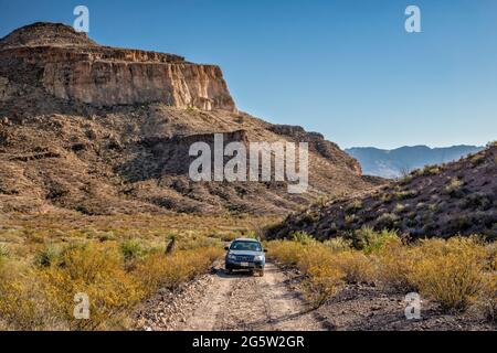 Fahrzeug auf Las Burras Loop, Three Dyke Hill, in der Nähe der River Road, Big Bend Ranch State Park, Texas, USA Stockfoto