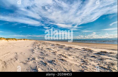 Golfküstenstrand bei Ebbe, Padre Island National Seashore, in der Nähe von Corpus Christi, Texas, USA Stockfoto