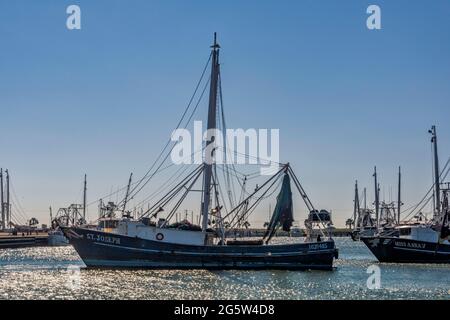 Garnelenboote im Hafen in Palacios, Texas, USA Stockfoto