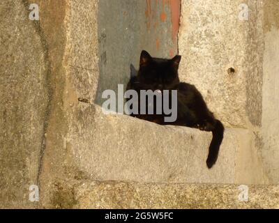 Porto, Portugal Stockfoto