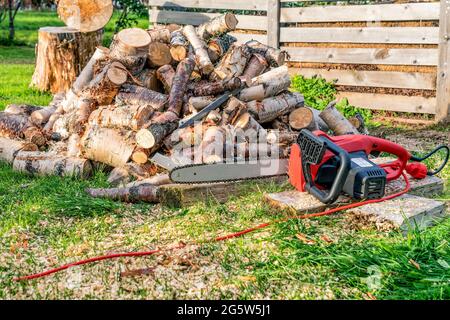 Großer Stapel runder Holzschnitte, rote elektrische Kettensäge. Die Baumstämme werden aus den in einem Haufen gestapelten Birkenstämmen gesägt. Birkenbrennholz. Kompost e Stockfoto