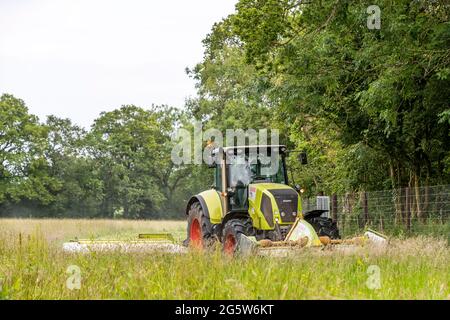 Sommergrasschnitt, Forest of Dean. CLAAS 820 Axion Traktor und Schneider. Stockfoto