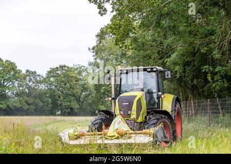 Sommergrasschnitt, Forest of Dean. CLAAS 820 Axion Traktor und Schneider. Stockfoto