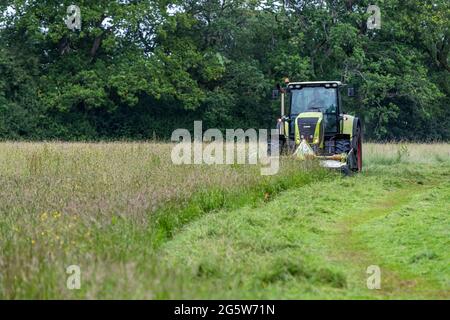 Sommergrasschnitt, Forest of Dean. CLAAS 820 Axion Traktor und Schneider. Stockfoto