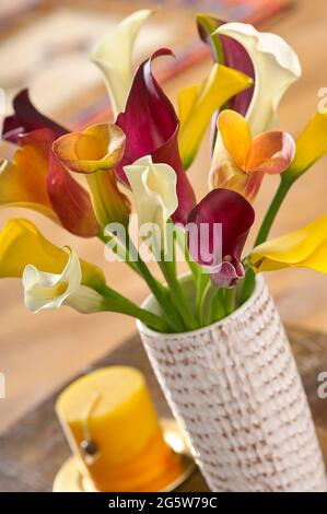 Farbenfrohe Calla-Lilien in einer Vase auf einem Beistelltisch in heimigem Ambiente Stockfoto