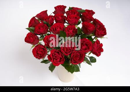 Zwei Dutzend rote Rosen in einer Vase auf weißem Hintergrund zum Valentinstag Stockfoto