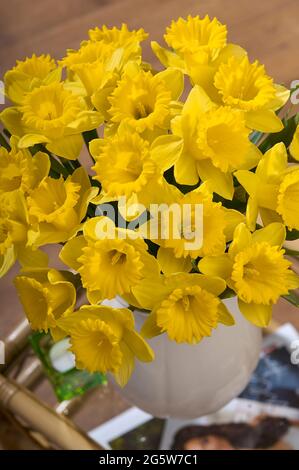Eine große Vase mit atemberaubenden gelben Narzissen Narcissus Pseudonarcissus, auch bekannt als Fastenlilie, auf einem kleinen Beistelltisch in einer häuslichen Umgebung Stockfoto