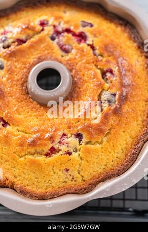 Frisch gebackener Cranberry-Beetkuchen in einer Beetkuchenform. Stockfoto