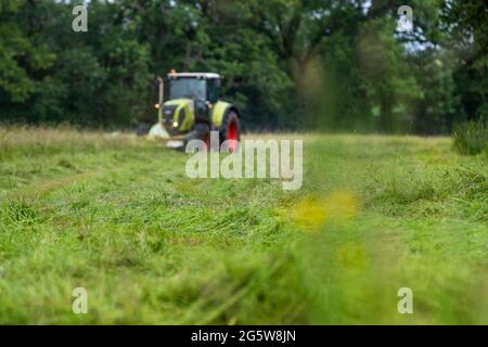 Sommergrasschnitt, Forest of Dean. CLAAS 820 Axion Traktor und Schneider. Stockfoto