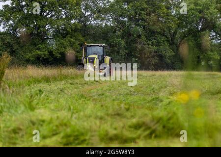 Sommergrasschnitt, Forest of Dean. CLAAS 820 Axion Traktor und Schneider. Stockfoto