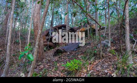 Ruinierte, rostige Autos mitten im Wald. Stockfoto