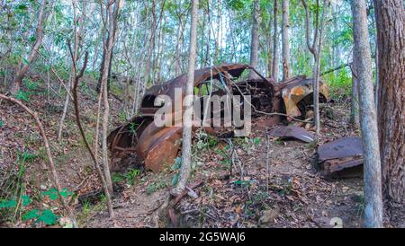 Ruinierte, rostige Autos mitten im Wald. Stockfoto