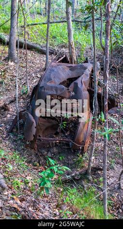 Ruinierte, rostige Autos mitten im Wald. Stockfoto