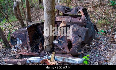 Ruinierte, rostige Autos mitten im Wald. Stockfoto