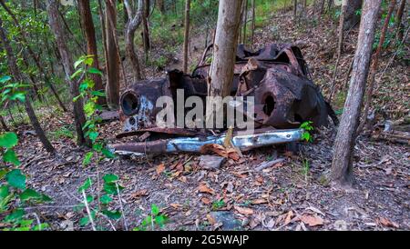 Ruinierte, rostige Autos mitten im Wald. Stockfoto