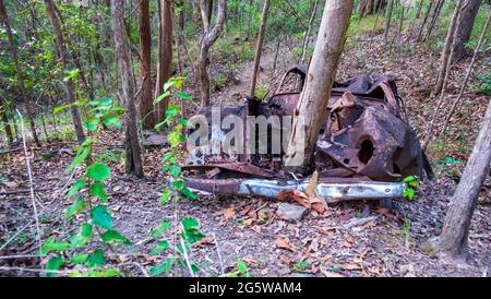 Ruinierte, rostige Autos mitten im Wald. Stockfoto