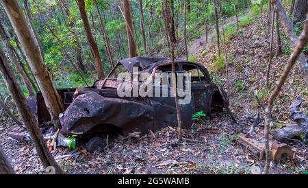 Ruinierte, rostige Autos mitten im Wald. Stockfoto