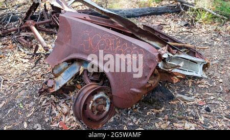 Ruinierte, rostige Autos mitten im Wald. Stockfoto