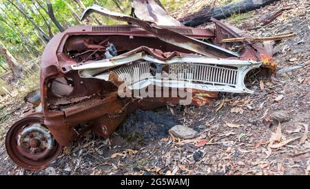 Ruinierte, rostige Autos mitten im Wald. Stockfoto