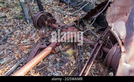 Ruinierte, rostige Autos mitten im Wald. Stockfoto