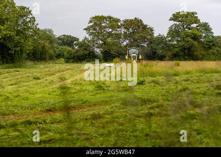 Sommergrasschnitt, Forest of Dean. CLAAS 820 Axion Traktor und Schneider. Stockfoto