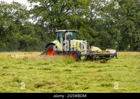 Sommergrasschnitt, Forest of Dean. CLAAS 820 Axion Traktor und Schneider. Stockfoto