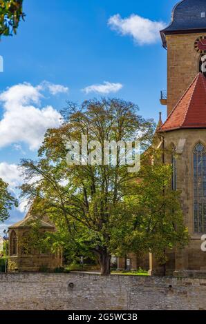 Kapelle und Kirche von Regiswindi aus dem Hof des heutigen Rathauses Grafenburg in Lauffen am Neckar, Baden-Württemberg, Deutschland. Stockfoto