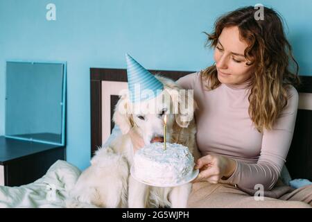 Labrador golden Retriever Hund feiert Geburtstag in Mütze und mit Kuchen. Stockfoto