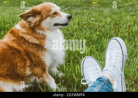 Besitzerin in weißen Sneakers sitzt mit ihrem Ingwer-Hund auf dem Gras Stockfoto