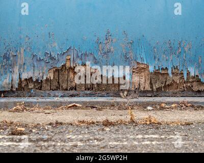 Details einer alten, zerfallenden, nicht gepflegten Holztür aus Sperrholz. Abblätternde Farbe. Stockfoto
