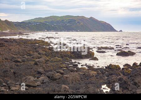 Blick auf das Pukerua Bay Nature Reserve vom Te Araroa Bypass Rastplatz, Paekakariki Hill, Wellington, Neuseeland Stockfoto