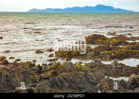 Blick auf Kapiti Island vom Parkplatz am Te Araroa Bypass Rastplatz, Paekakariki Hill, Wellington, Neuseeland Stockfoto