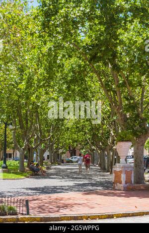 Plaza Ruiz de Arellano in San Antonio de Areco, Provinz Buenos Aires, Argentinien Stockfoto