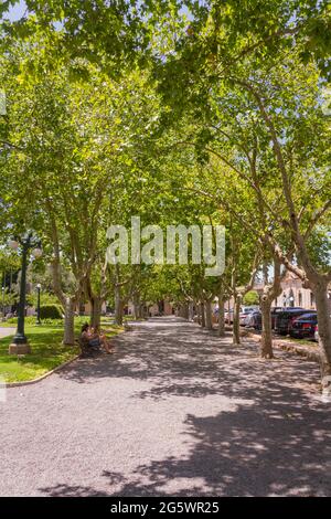 Plaza Ruiz de Arellano in San Antonio de Areco, Provinz Buenos Aires, Argentinien Stockfoto