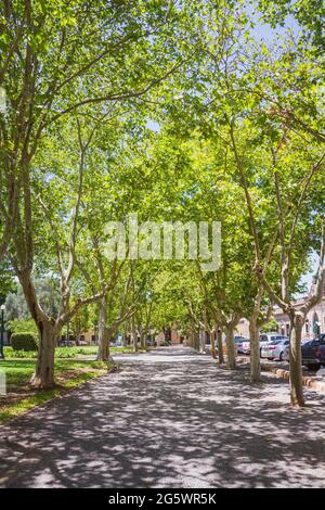 Plaza Ruiz de Arellano in San Antonio de Areco, Provinz Buenos Aires, Argentinien Stockfoto