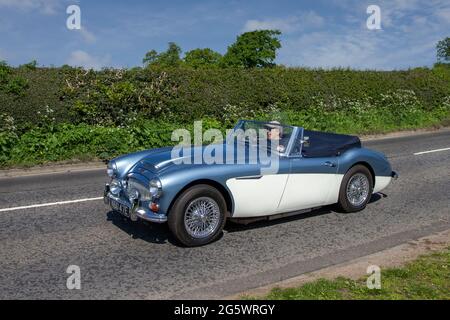 1967 60s blauweißes Austin Healey, 3000cc-Benziner-Cabrio, auf dem Weg zur Capesthorne Hall Classic Car Show im Mai, Cheshire, Großbritannien Stockfoto