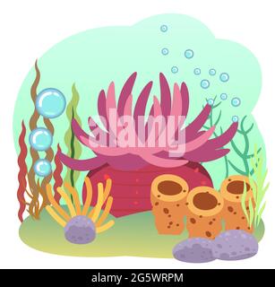 Boden des Behälters. Meer. Unter Wasser. Landschaft mit Pflanzen, Algen und Korallen. Korallenriff. Blasen. Isoliert. Illustration im Cartoon-Stil Stock Vektor