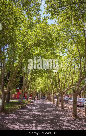 Plaza Ruiz de Arellano in San Antonio de Areco, Provinz Buenos Aires, Argentinien Stockfoto