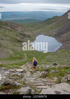 Weibliche Bergwandererin, die im englischen Lake District auf dem Fußweg von Goats Hawse zum Goats Water hinabsteigt Stockfoto