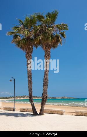 Sampieri, Ragusa, Sizilien, Italien. Zwillingspalmen ragen über dem menschenleeren Sandstrand, das türkisfarbene Wasser des Mittelmeers dahinter. Stockfoto