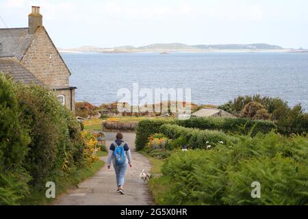 Eine Frau geht mit ihrem Hund am Meer in der Nähe des Schlosses in St. Mary's, Isles of Scilly, Cornwall, Großbritannien Stockfoto