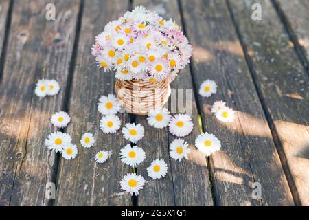 Kleiner Strauß Gänseblümchen in der Tasse auf grunge Holzbrett vor grünem Hintergrund. Blumengeschenk Muttertag Daisy Bellis perennis Gartenblumen Stockfoto
