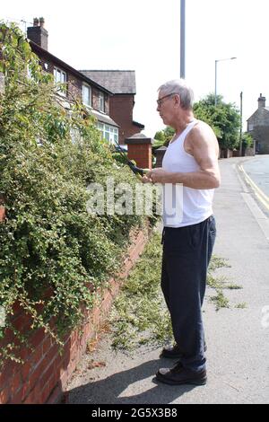 Alter Mann, der Hecke mit einer Schere mit einer weißen Weste und Jogginghosen schneidet. Lancashire, Großbritannien Stockfoto