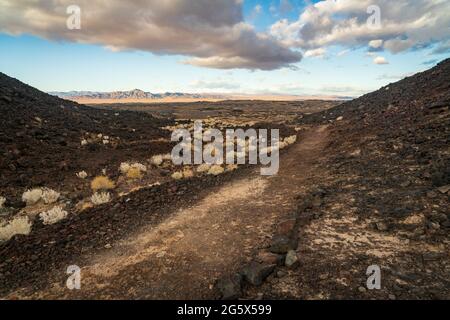 Amboy-Krater im Südosten Kaliforniens Stockfoto