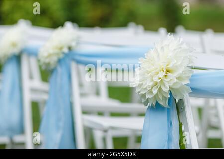 Hochzeitszeremonie Dekorationen: Stühle mit Bändern und Chrysanthemen, viele Blumen in weiß und blau Stil, auf einem Hintergrund von Grün Stockfoto