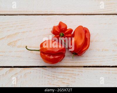 Grundansicht der roten Scotch Bonnet Paprika auf einem weißen holzgetäfelten, rustikalen Hintergrund. Stockfoto