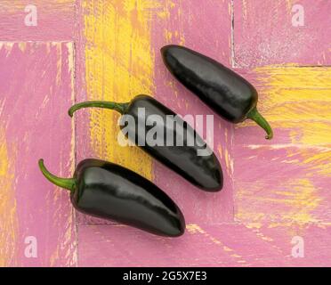 Grundansicht der violetten Jalapeño Chilis auf einem rosa-gelben, hölzernen Hintergrund. Stockfoto